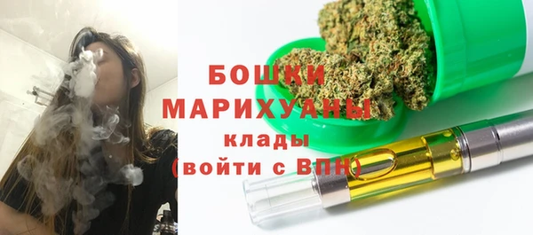 ГАЛЛЮЦИНОГЕННЫЕ ГРИБЫ Баксан