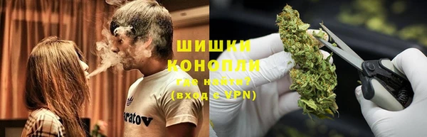 дживик Балахна