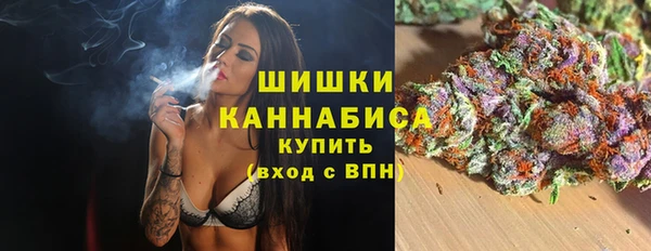 ГАЛЛЮЦИНОГЕННЫЕ ГРИБЫ Баксан