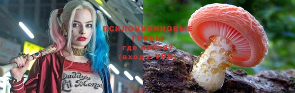 ГАЛЛЮЦИНОГЕННЫЕ ГРИБЫ Баксан